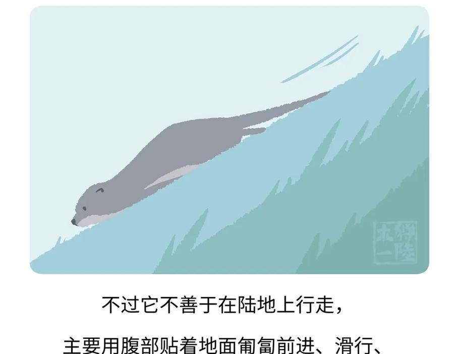 《胖达x胖达》第198话 第22页