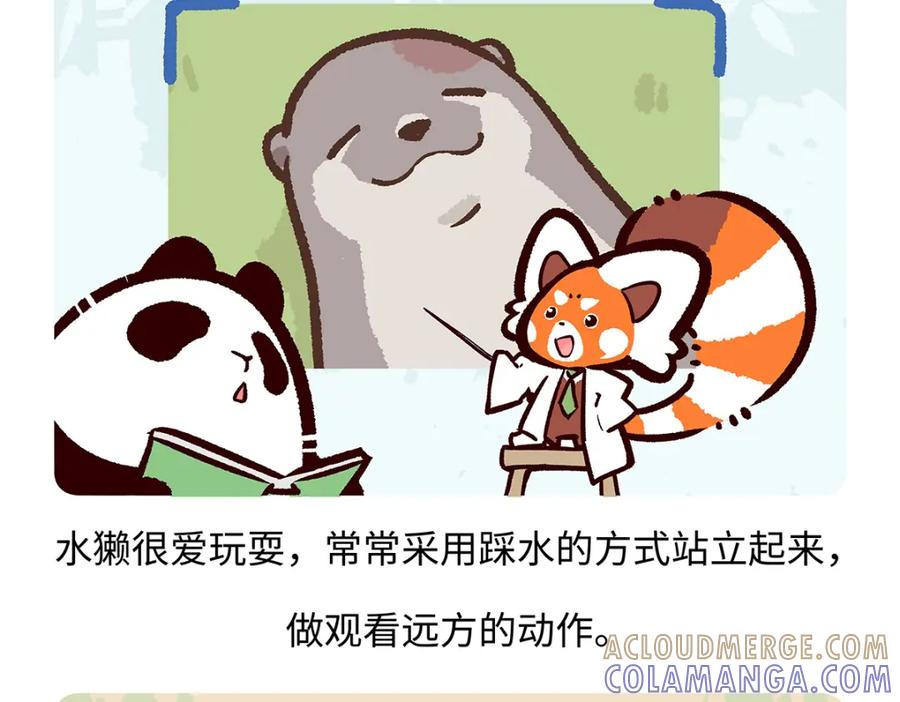 《胖达x胖达》第198话 第19页