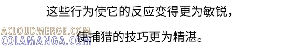 《胖达x胖达》第198话 第21页