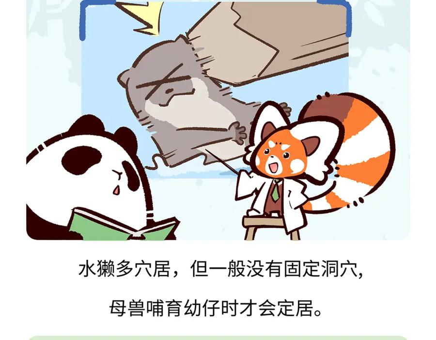 《胖达x胖达》第198话 第26页