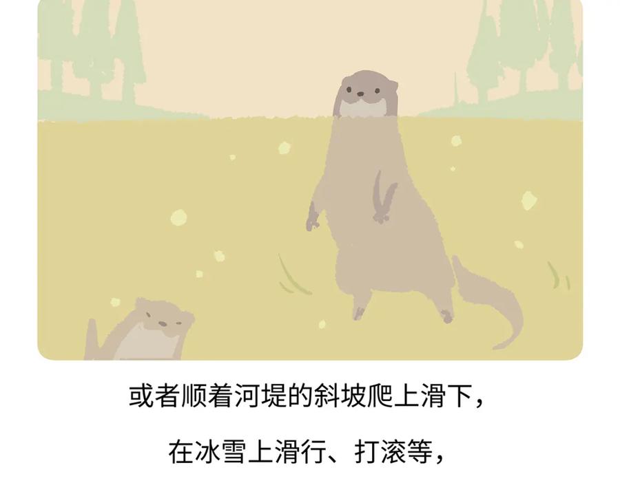《胖达x胖达》第198话 第20页