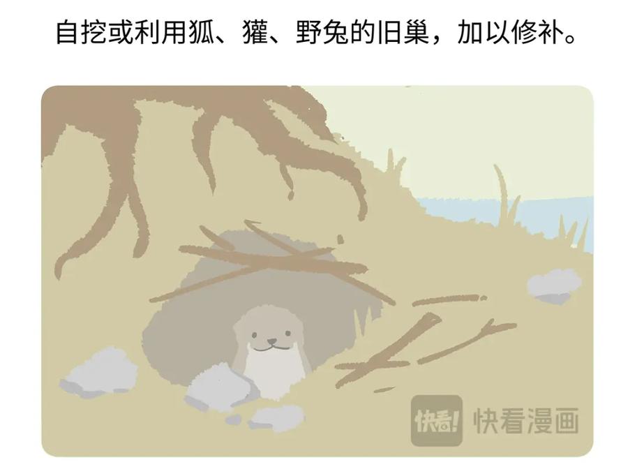《胖达x胖达》第198话 第28页