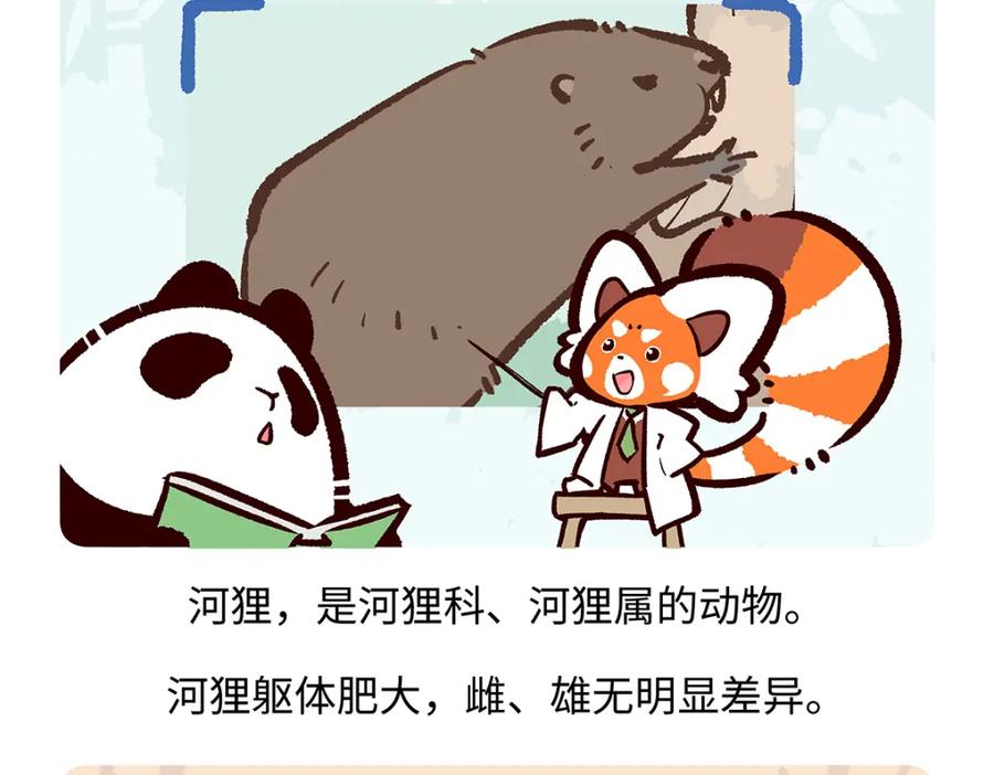 《胖达x胖达》第199话 第20页