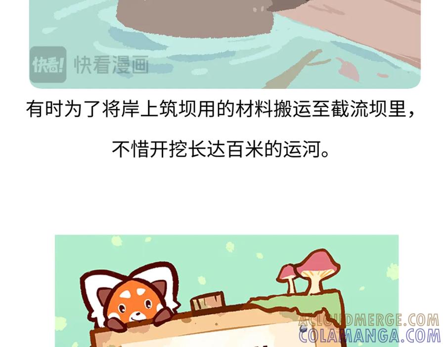 《胖达x胖达》第199话 第31页