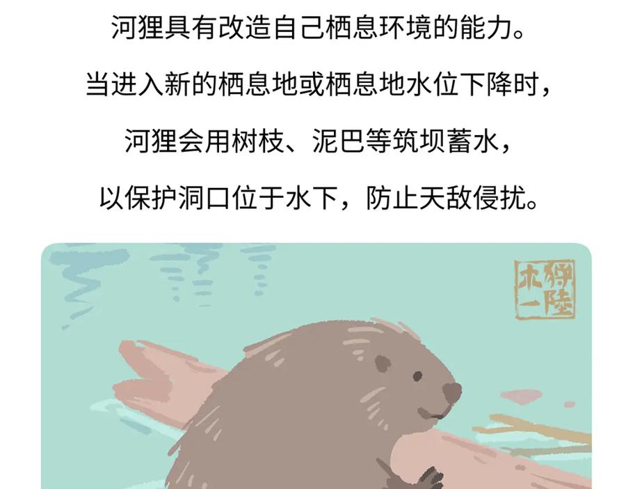 《胖达x胖达》第199话 第30页