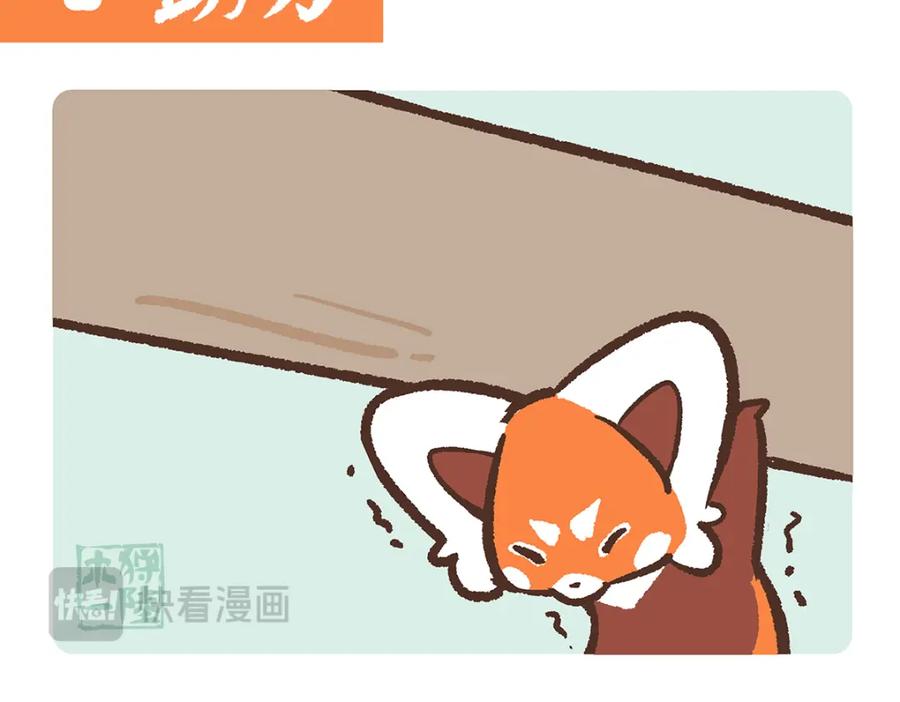 《胖达x胖达》第199话 第14页