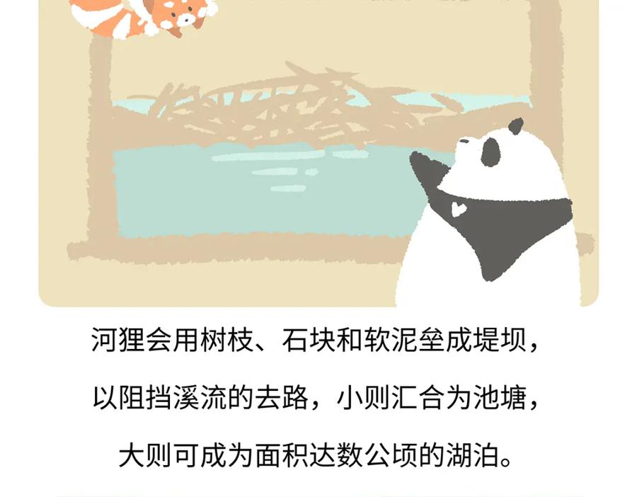 《胖达x胖达》第199话 第28页