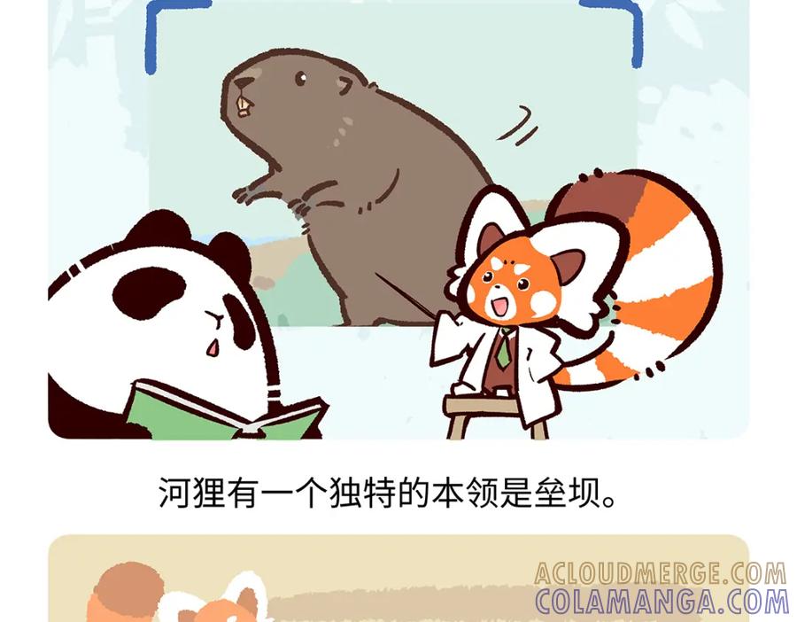 《胖达x胖达》第199话 第27页