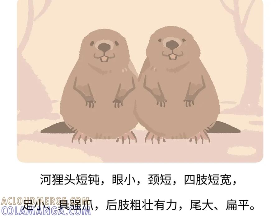 《胖达x胖达》第199话 第21页
