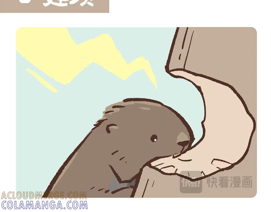 《胖达x胖达》第200话 第7页