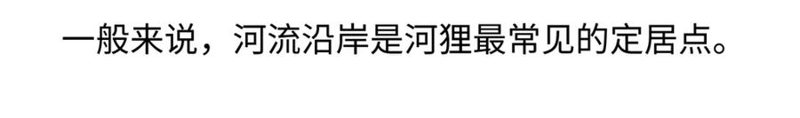 《胖达x胖达》第200话 第24页