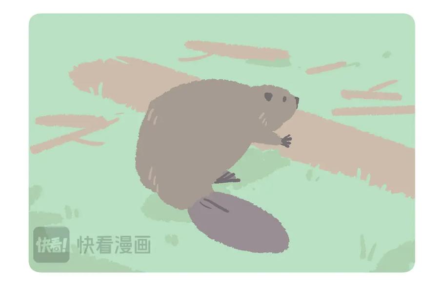 《胖达x胖达》第200话 第28页