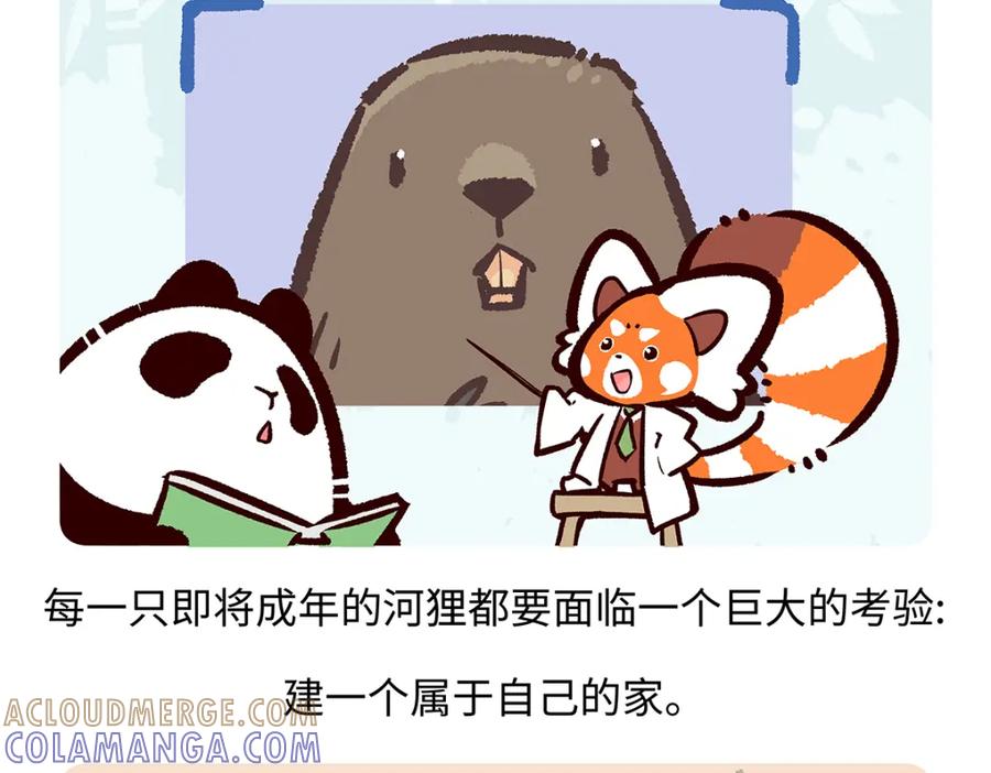《胖达x胖达》第200话 第19页