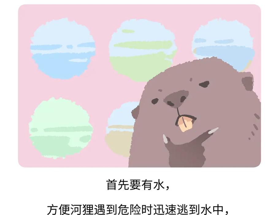 《胖达x胖达》第200话 第22页