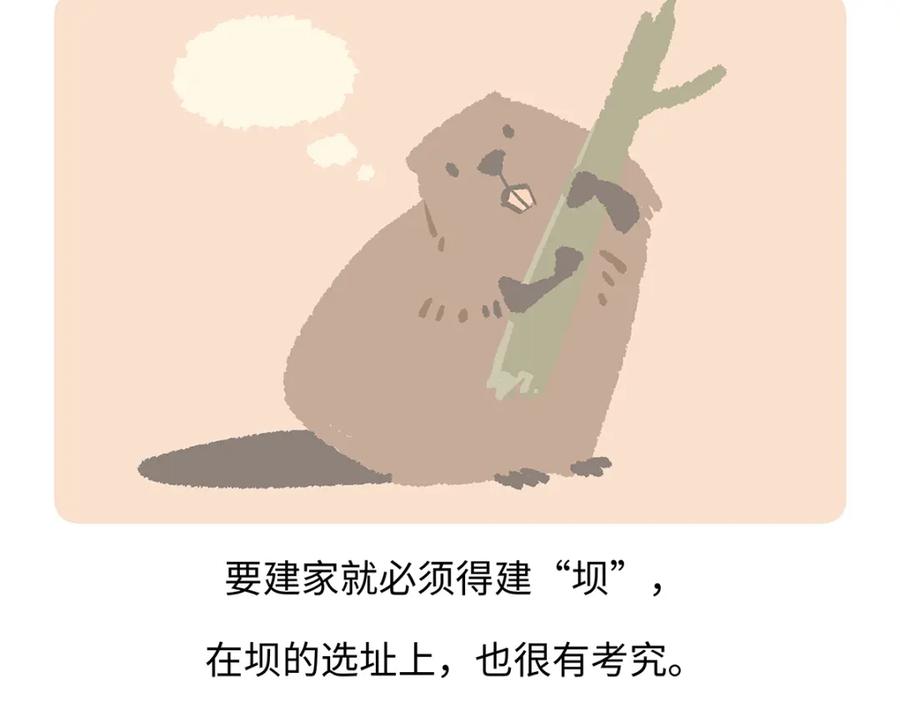 《胖达x胖达》第200话 第20页