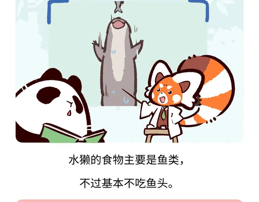 《胖达x胖达》第201话 第18页