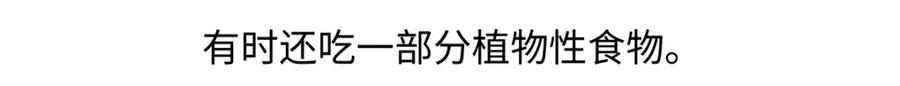 《胖达x胖达》第201话 第20页
