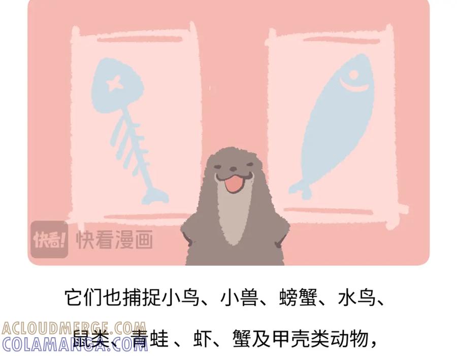 《胖达x胖达》第201话 第19页
