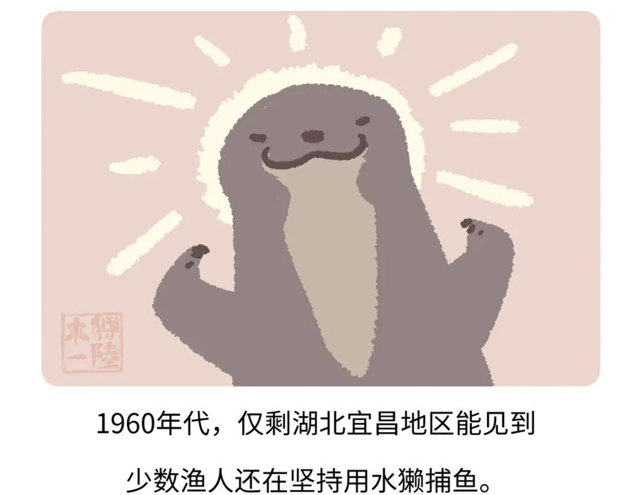 《胖达x胖达》第201话 第28页