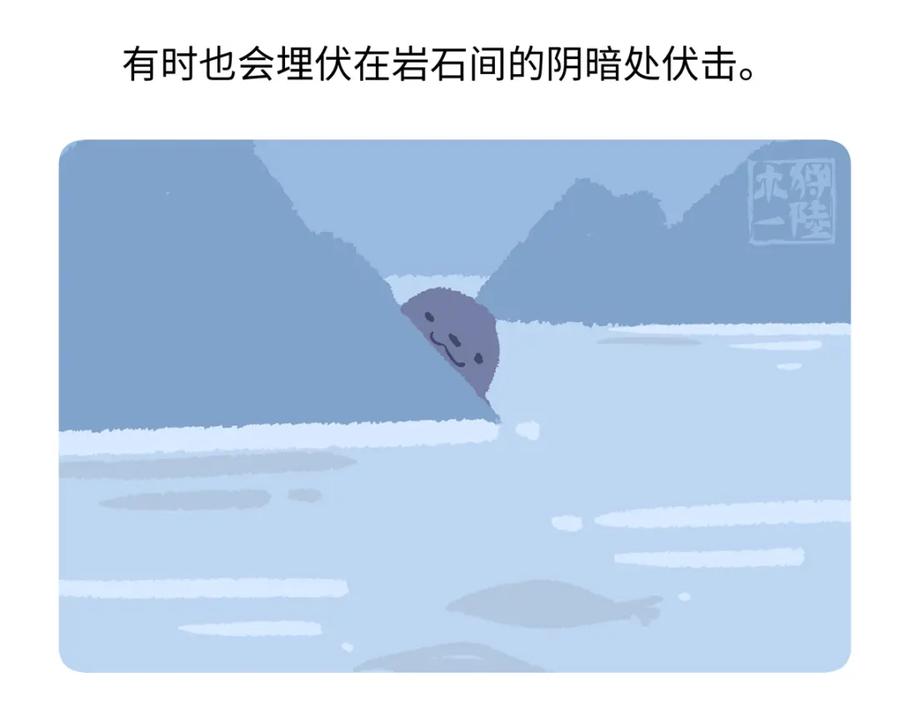 《胖达x胖达》第201话 第22页