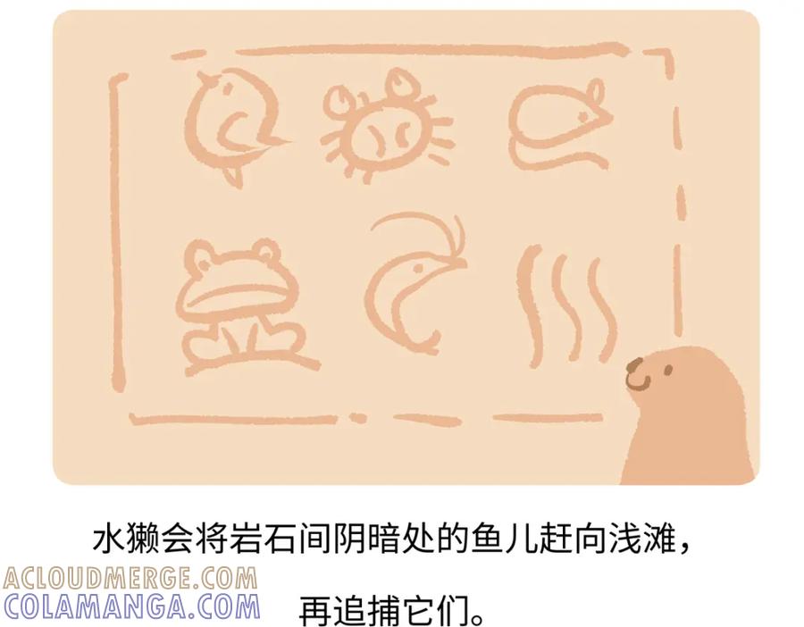 《胖达x胖达》第201话 第21页