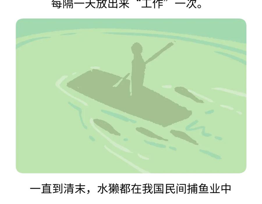 《胖达x胖达》第201话 第26页