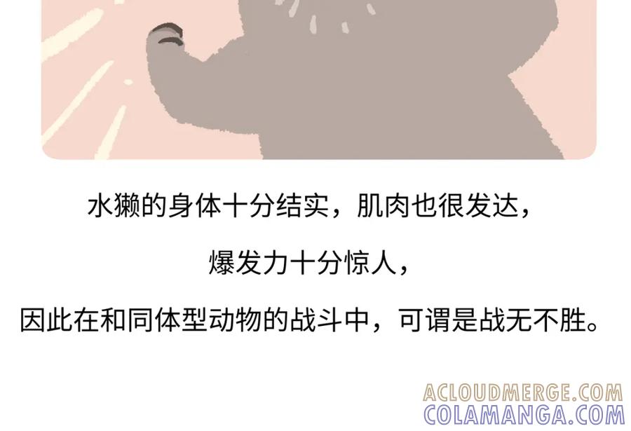 《胖达x胖达》第202话 第23页