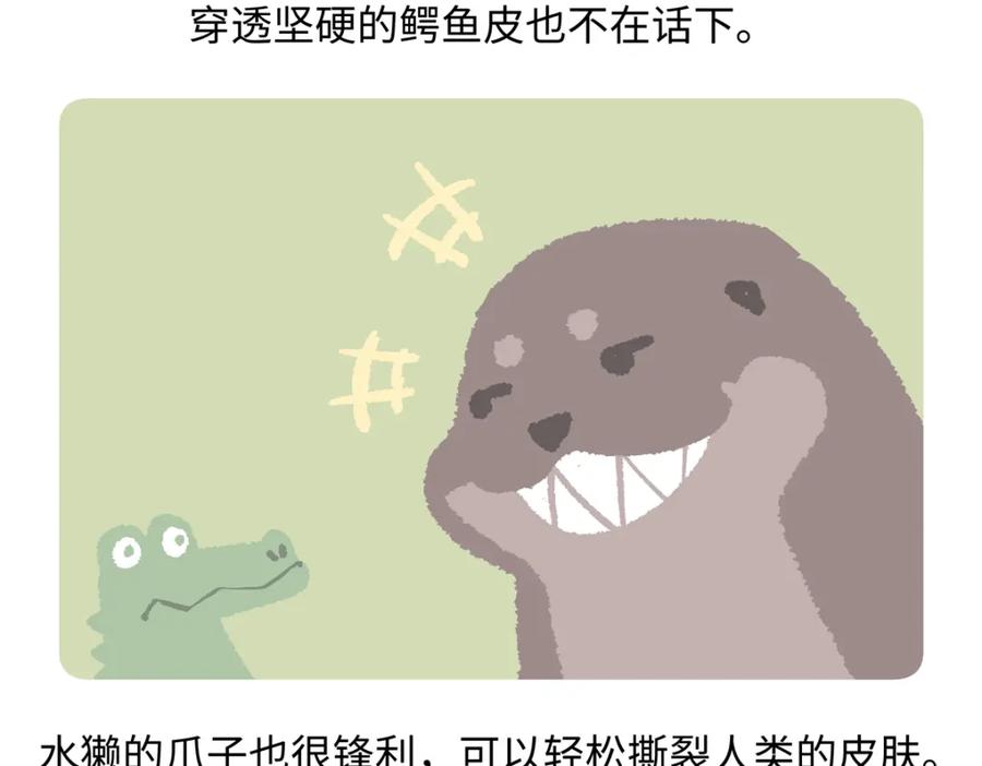 《胖达x胖达》第202话 第26页
