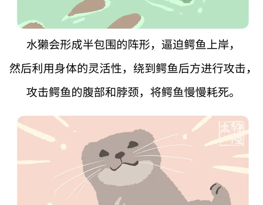 《胖达x胖达》第202话 第22页