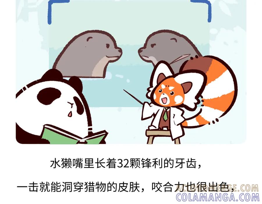 《胖达x胖达》第202话 第25页