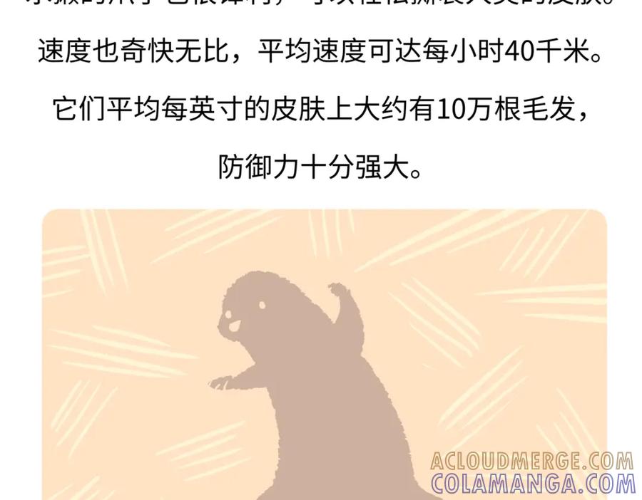 《胖达x胖达》第202话 第27页