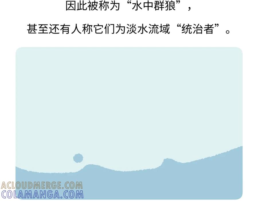《胖达x胖达》第202话 第19页