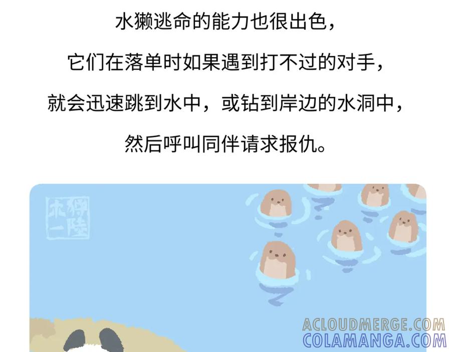 《胖达x胖达》第202话 第29页