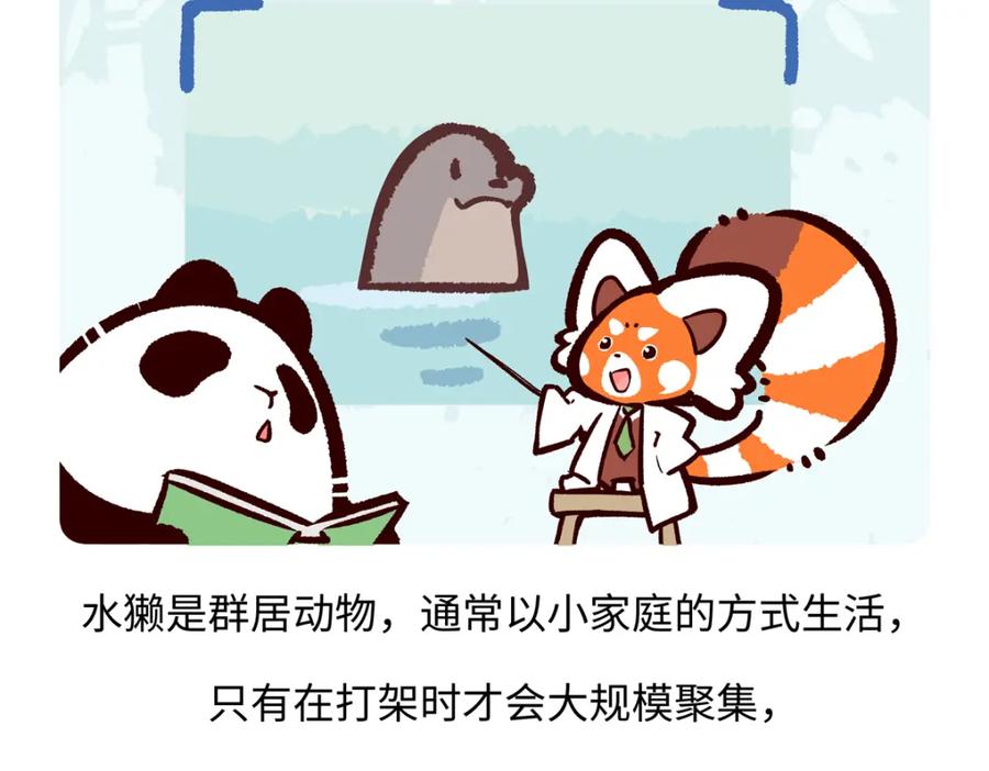 《胖达x胖达》第202话 第18页