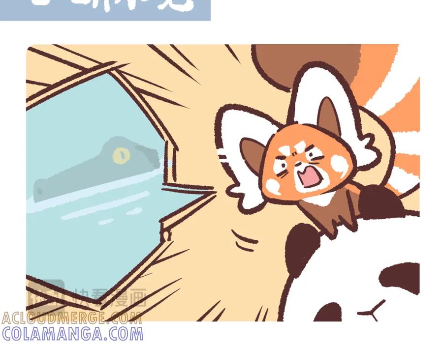 《胖达x胖达》第202话 第13页