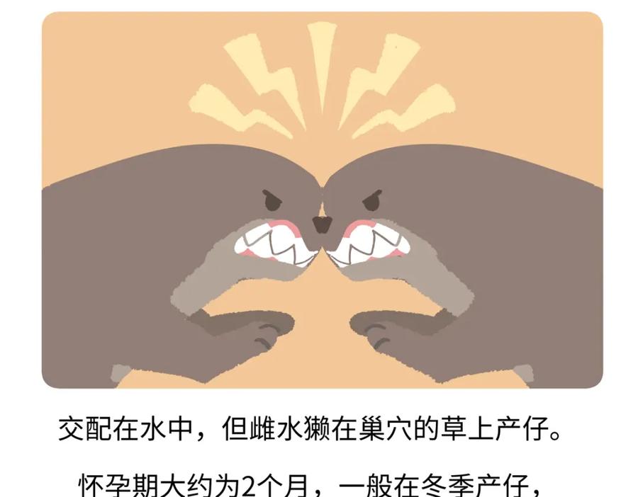 《胖达x胖达》第203话 第22页