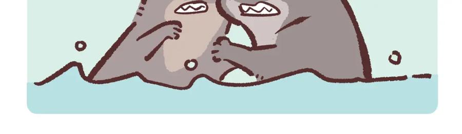 《胖达x胖达》第203话 第4页