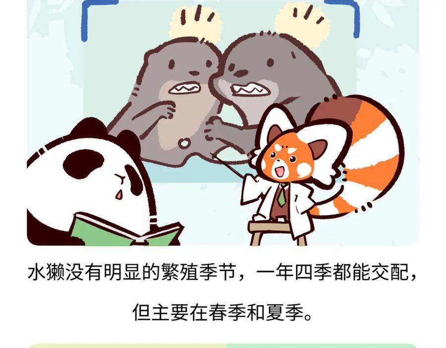 《胖达x胖达》第203话 第20页