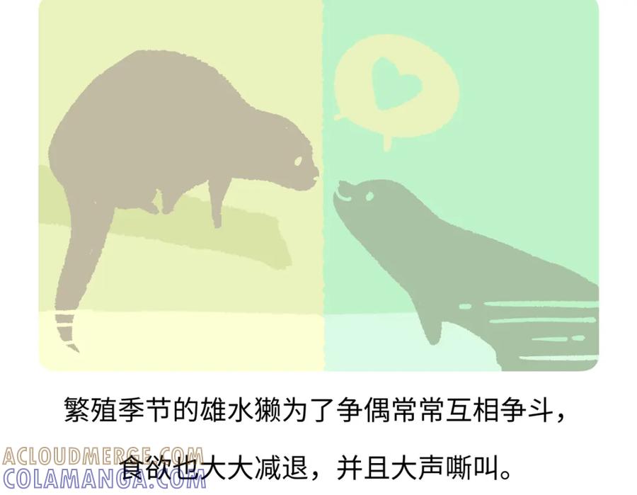 《胖达x胖达》第203话 第21页