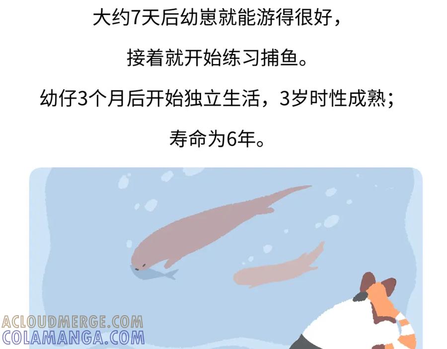 《胖达x胖达》第203话 第29页