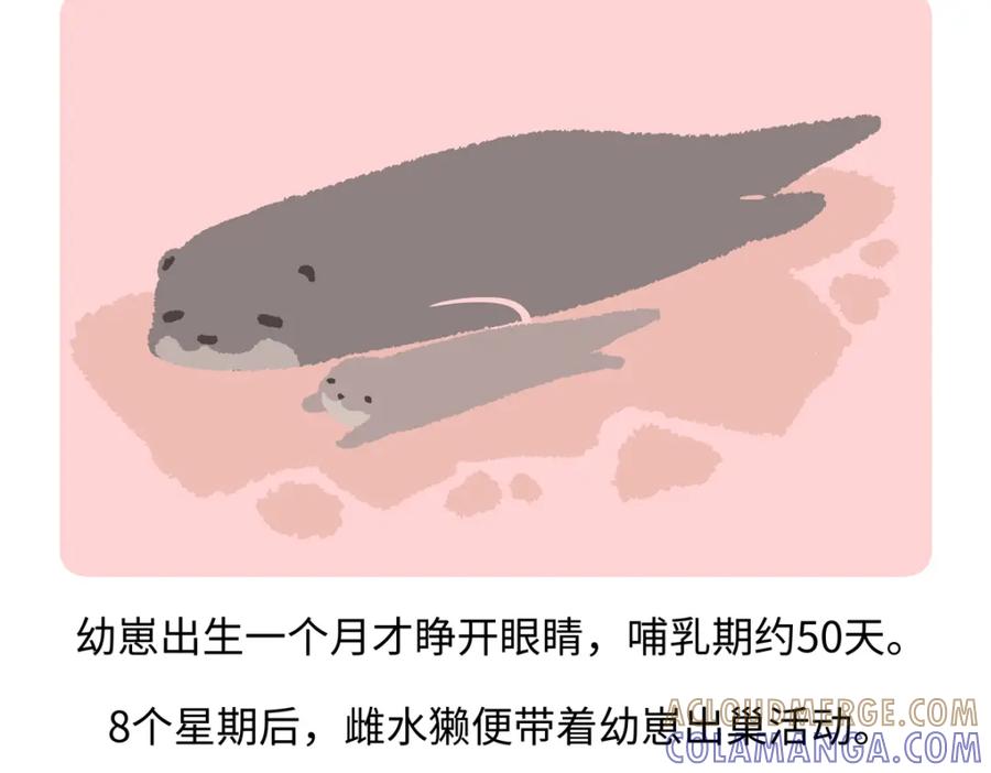 《胖达x胖达》第203话 第27页