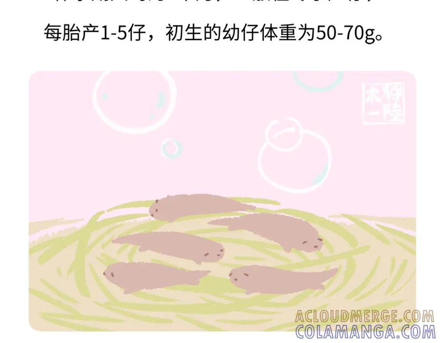 《胖达x胖达》第203话 第23页