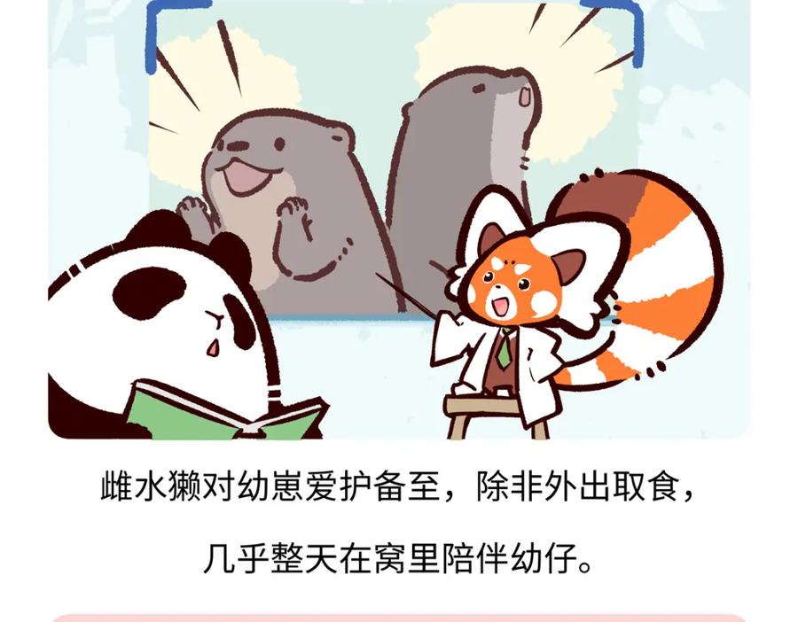 《胖达x胖达》第203话 第26页