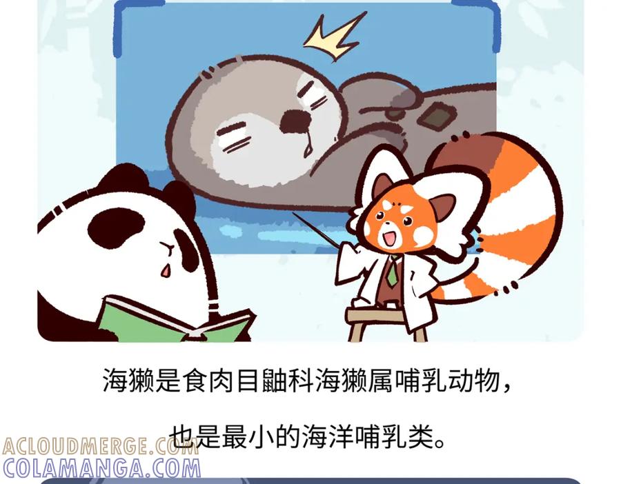 《胖达x胖达》第204话 第21页