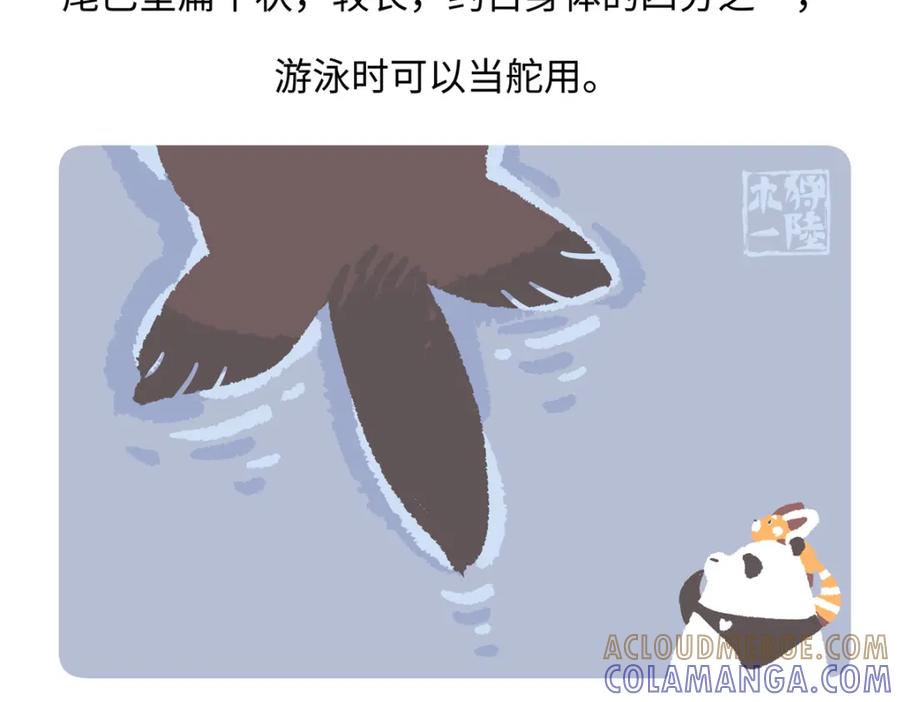 《胖达x胖达》第204话 第25页