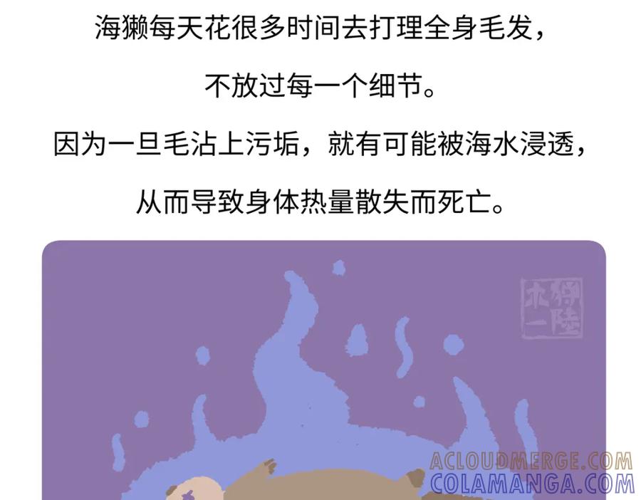 《胖达x胖达》第204话 第31页