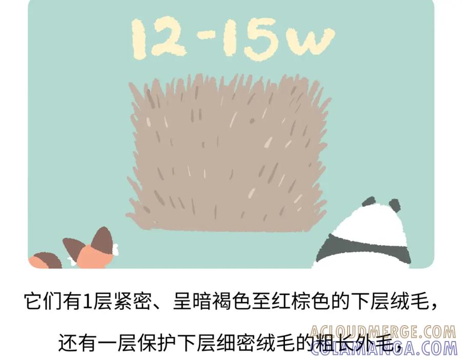 《胖达x胖达》第204话 第29页