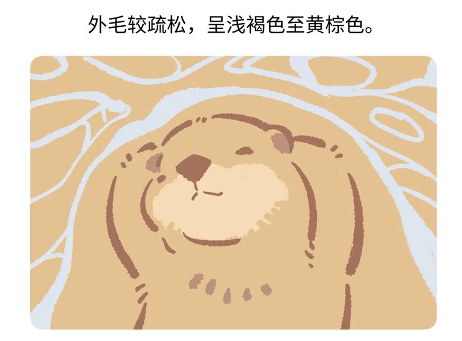 《胖达x胖达》第204话 第30页