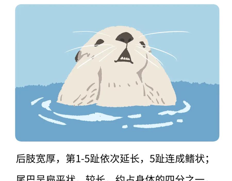 《胖达x胖达》第204话 第24页
