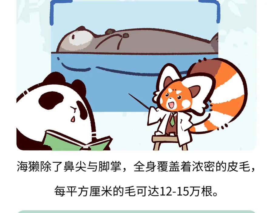 《胖达x胖达》第204话 第28页